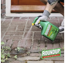 Persoon spuit Roundup onkruidverdelger op onkruid tussen klinkers op een terras. Roundup Logo.