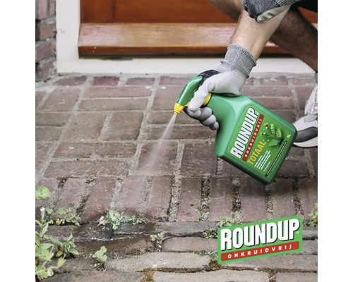 Persoon spuit Roundup onkruidverdelger op onkruid tussen klinkers op een terras. Roundup Logo.