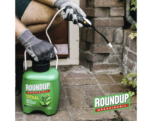 Een persoon met werkhandschoenen brengt Roundup Totaal onkruidverdelger aan met een 2,5 liter drukspuit op onkruid tussen de stenen.