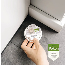 Hand plaatst Pokon mierenlokdoos op de vloer in een hoek. Pokon Logo.