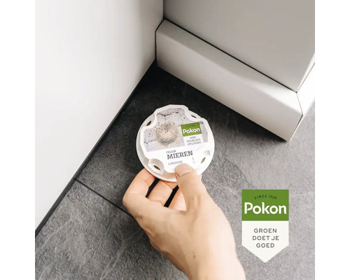 Hand plaatst Pokon mierenlokdoos op de vloer in een hoek. Pokon Logo.