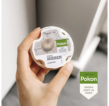 Een hand houdt een Pokon mierenlokdoos tegen mieren vast. Pokon Logo.