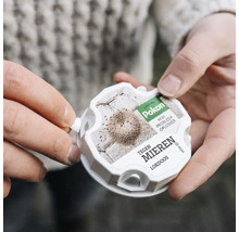 Een persoon houdt een witte Pokon mierenlokdoos vast en toont de activering door op het lipje te duwen.