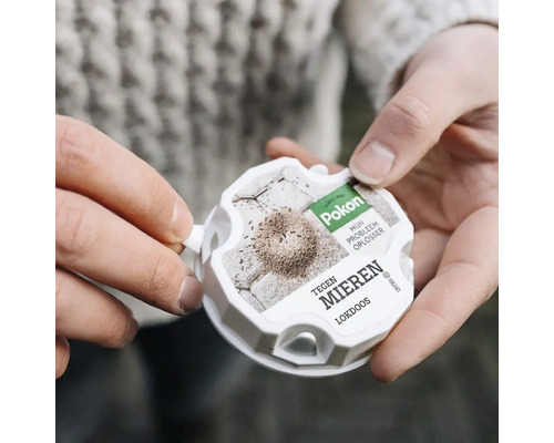 Een persoon houdt een witte Pokon mierenlokdoos vast en toont de activering door op het lipje te duwen.