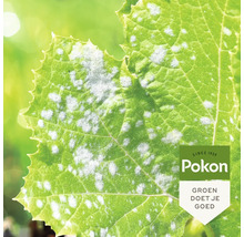 Blad met echte meeldauw en Pokon Logo.