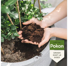 Handen die donkere potgrond vasthouden boven een plantenpot met een groene plant, Pokon Logo.