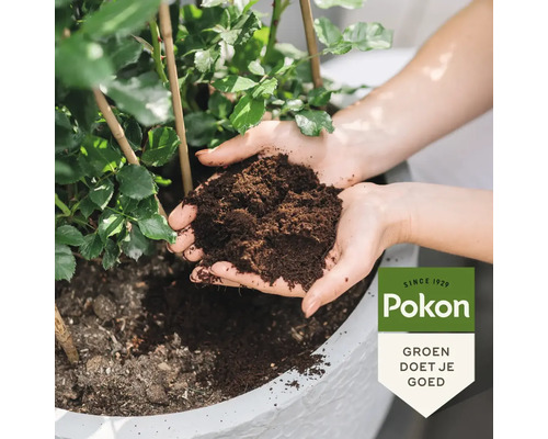 Handen die donkere potgrond vasthouden boven een plantenpot met een groene plant, Pokon Logo.