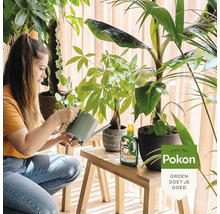 Een vrouw geeft kamerplanten water op een houten bankje met een grijze gieter. Inclusief Pokon plantenvoeding en Pokon Logo.