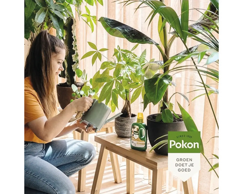 Een vrouw geeft kamerplanten water op een houten bankje met een grijze gieter. Inclusief Pokon plantenvoeding en Pokon Logo.