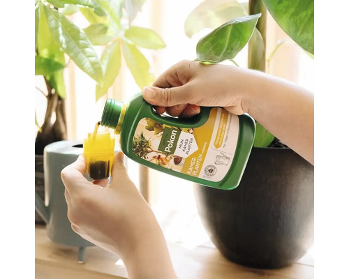 Persoon schenkt Pokon kamerplantenvoeding uit een fles in een maatdop voor een kamerplant.