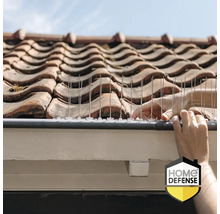 Handen monteren vogelwering spikes van roestvrij staal op een dakgoot. Home Defense Logo.