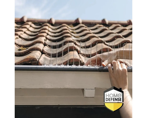 Handen monteren vogelwering spikes van roestvrij staal op een dakgoot. Home Defense Logo.