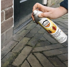 Hand spuit insectenbestrijdingsmiddel Home Defense Cure tegen mieren en kruipend ongedierte op straatstenen.