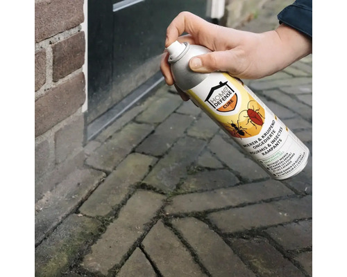 Hand spuit insectenbestrijdingsmiddel Home Defense Cure tegen mieren en kruipend ongedierte op straatstenen.