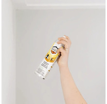 Een hand houdt een spuitbus Home Defense insectenbestrijdingsmiddel tegen vliegen en muggen vast.