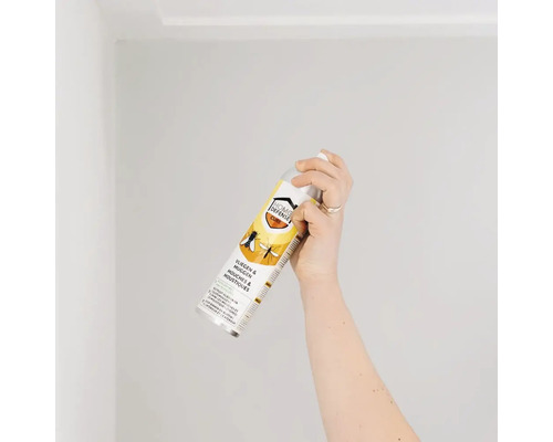 Een hand houdt een spuitbus Home Defense insectenbestrijdingsmiddel tegen vliegen en muggen vast.