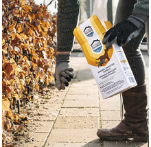 Persoon strooit Home Defense Prevent honden- en kattenkorrels op een licht tuinpad van stenen naast een heg.