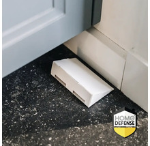 Zilvervisjesval op de vloer bij een plint. Home Defense Logo.