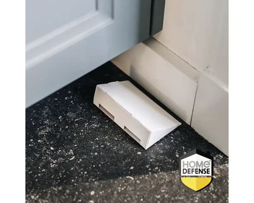 Zilvervisjesval op de vloer bij een plint. Home Defense Logo.