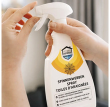 Handen houden een spuitfles Home Defense spinnenraggenspray vast voor het reinigen van oppervlakken van spinnenrag.