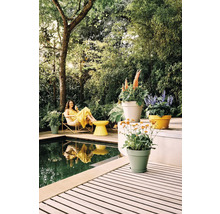 Heldere tuinscène met houten terras, zwembad en tuinmeubilair. Kleurrijke plantenbakken met bloeiende planten staan op het terras voor dicht groen.