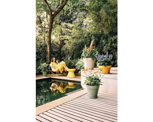Heldere tuinscène met houten terras, zwembad en tuinmeubilair. Kleurrijke plantenbakken met bloeiende planten staan op het terras voor dicht groen.