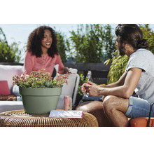 Twee mensen op een terras aan een ronde rotan tafel met een lichtgroene bloempot met vetplanten tegen een groene tuinachtergrond.