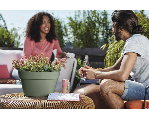 Twee mensen op een terras aan een ronde rotan tafel met een lichtgroene bloempot met vetplanten tegen een groene tuinachtergrond.