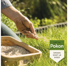 Een hand strooit Pokon gazonmestkorrels vanuit een houten mandje op een groen gazon in een tuin. Pokon Logo.
