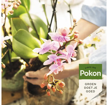 Handen houden een orchidee in een pot vast, Pokon Logo en slogan Groen doet je goed.