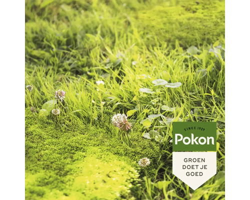 Detailopname van een groen gazon met gras, mos en klaverbloemen, met het Pokon Logo.