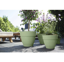 Lichtgroene kunststof bloempotten in verschillende maten met paars bloeiende planten op een zonnig houten terras.