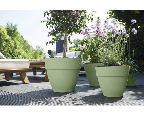 Lichtgroene kunststof bloempotten in verschillende maten met paars bloeiende planten op een zonnig houten terras.