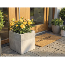 Vierkante plantenbak in betonlook met gele rozen bij een huisingang naast een Welcome deurmat op stenen tegels.