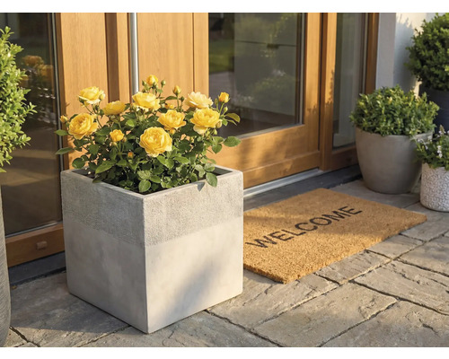 Vierkante plantenbak in betonlook met gele rozen bij een huisingang naast een Welcome deurmat op stenen tegels.