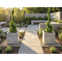 Moderne, lichte tuin met stenen pad, twee spiraalvormige buxusbomen in vierkante plantenbakken, betonnen banken en grind.