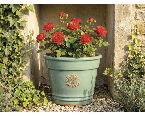 Lichtgroene keramische bloempot met bloemembleem, beplant met rode rozen, voor een stenen muur met klimop.