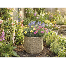 Gevlochten plantenmand met gele en roze madeliefjes en lavendel in een lichte tuin met rozen en vingerhoedskruid.