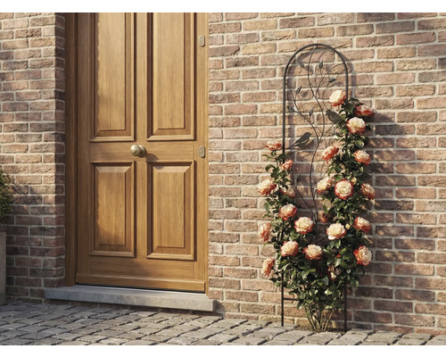 Metalen klimrek met vogel- en bladmotieven, begroeid met klimrozen tegen een bakstenen muur naast een houten deur.