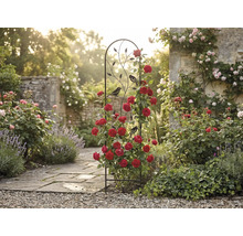 Zwart metalen plantenrek met vogel- en bladmotieven, begroeid met rode klimrozen in een zonnige tuin met een stenen pad.