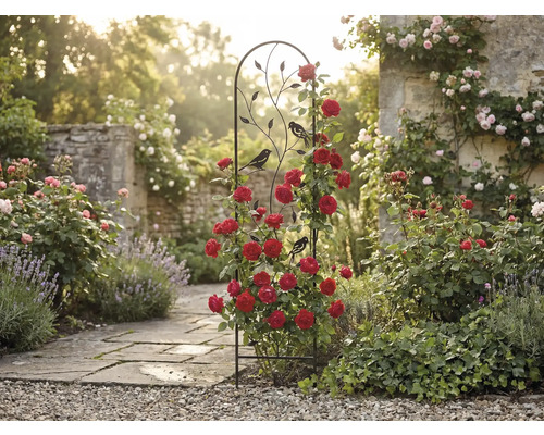Zwart metalen plantenrek met vogel- en bladmotieven, begroeid met rode klimrozen in een zonnige tuin met een stenen pad.