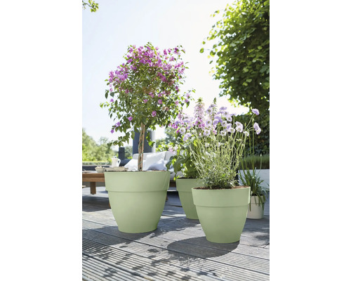 Lichtgroene kunststof bloempotten op een zonnig houten terras in de tuin, beplant met bloeiende planten.