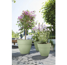 Lichtgroene kunststof bloempotten op een zonnig houten terras in de tuin, beplant met bloeiende planten.