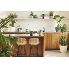 Lichte moderne keuken met kookeiland van hout, twee rotan barkrukken en diverse kamerplanten in sierpotten op aanrechten.