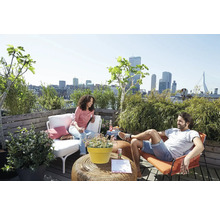 Zonnig dakterras met uitzicht op de stad, tuinmeubelen, planten en twee personen op een houten vlonder.