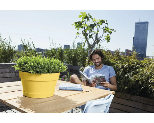 Gele ronde plantenbak op een houten tafel op een licht dakterras met uitzicht op de stad, planten en een lezende man.