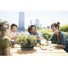 Donkergrijze plantenschaal met schotel op houten tafel, op de achtergrond vrienden op een zonnig dakterras met skyline.