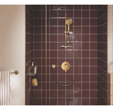 Modern douchesysteem in goudkleur met handdouche, glijstang en mengkraan tegen een wand van bordeauxrode tegels.