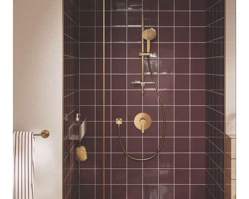 Modern douchesysteem in goudkleur met handdouche, glijstang en mengkraan tegen een wand van bordeauxrode tegels.