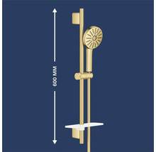 Goudkleurige doucheset bestaande uit een handdouche, douchestang van 600 millimeter lang, glijstuk en een planchet.